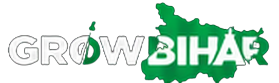 Grow Bihar - Bihar's Digital Growth Partner